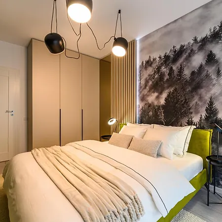 Moonlight Mountain Retreat Apartment Brasov