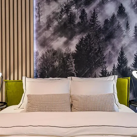 Apartment Moonlight Mountain Retreat Brasov